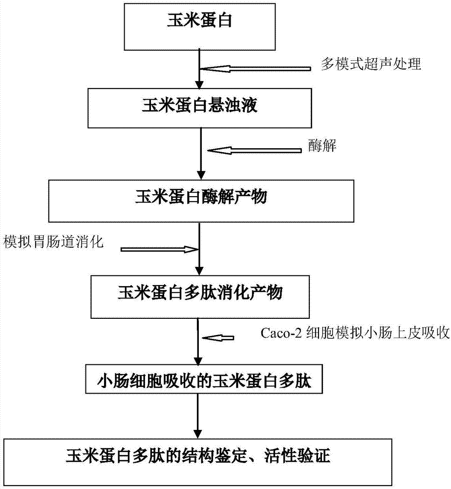 yabo官网登录网站 